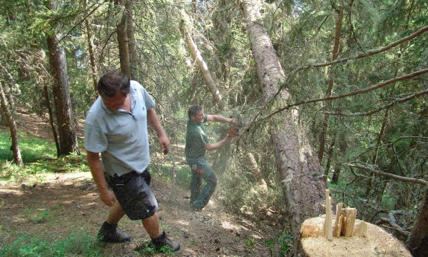 02.07.2010: Sommerübung