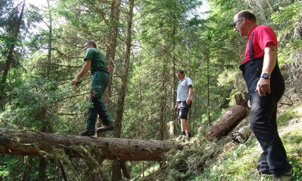 02.07.2010: Sommerübung