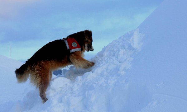 07.12.2012: Sillian - LVS Schulung