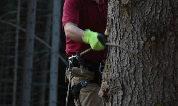 29.04.2014: Übung Paragliderbergung