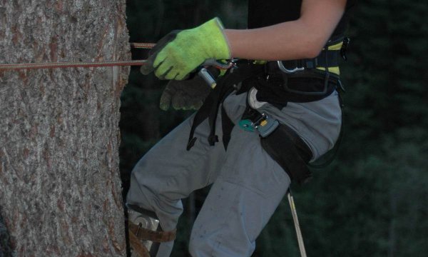 29.04.2014: Übung Paragliderbergung