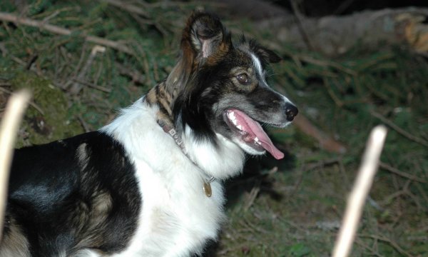 29.04.2014: Übung Paragliderbergung