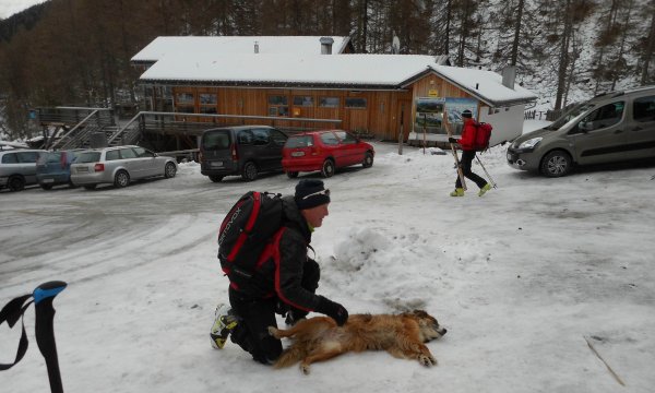 04.01.2015: Kalkstein - LVS Schulung