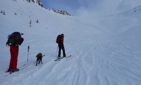 25.01.2015: Kreuzspitze - Hundelawinenübung