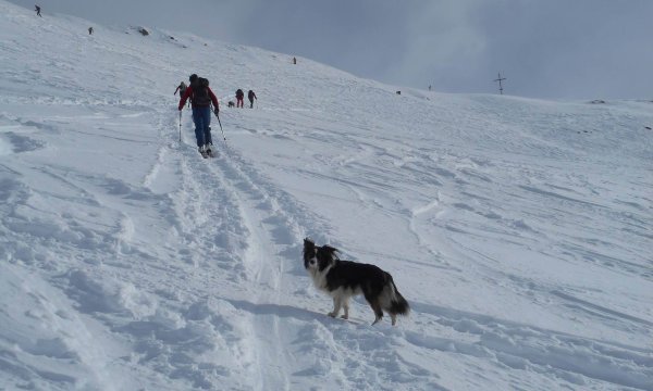 25.01.2015: Kreuzspitze - Hundelawinenübung