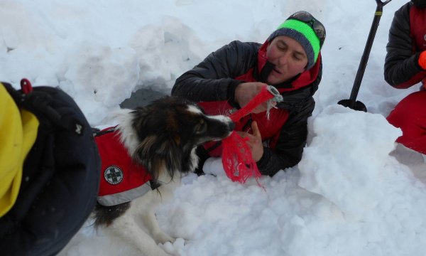 25.01.2015: Kreuzspitze - Hundelawinenübung