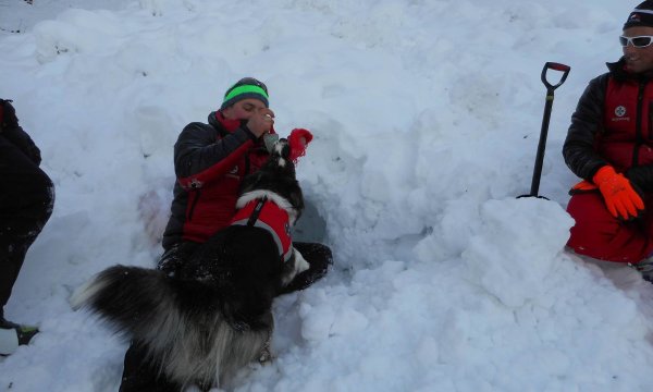 25.01.2015: Kreuzspitze - Hundelawinenübung