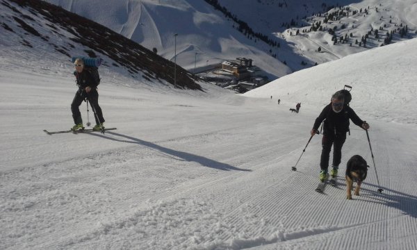 11.-18.04.2015: Kühtai - Hundekurs