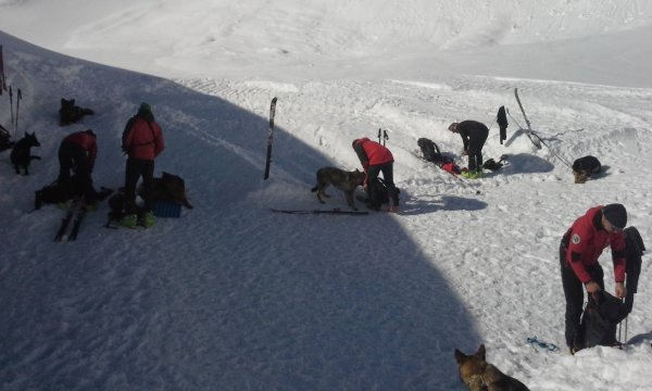 11.-18.04.2015: Kühtai - Hundekurs