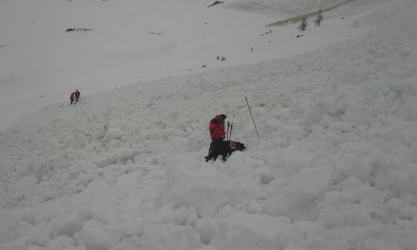 11.-18.04.2015: Kühtai - Hundekurs