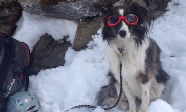 11.-18.04.2015: Kühtai - Hundekurs