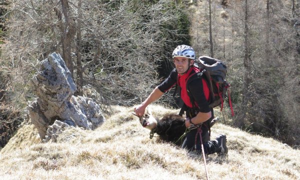 28.12.2015: Spitzenstein - Gamsbergung