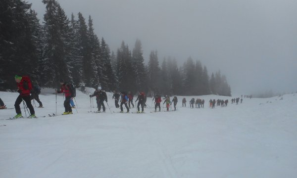 2016