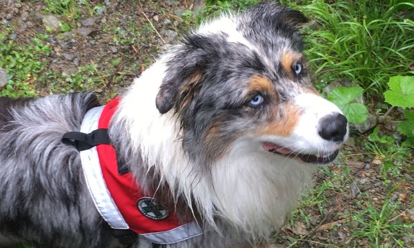 27.05.2018: Sommerübung