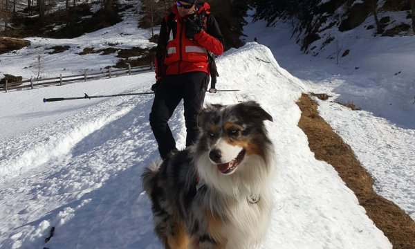 02.03.2019: Winkeltal Lawinenübung