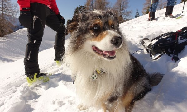 08.02.2020: Kals - Lawinenübung