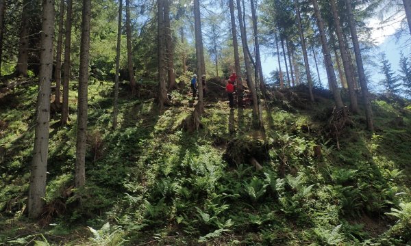 13.06.2020: Seiltechnik &amp; Quad