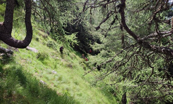 16.07.2022: Einsatzübung Oberstalleralm